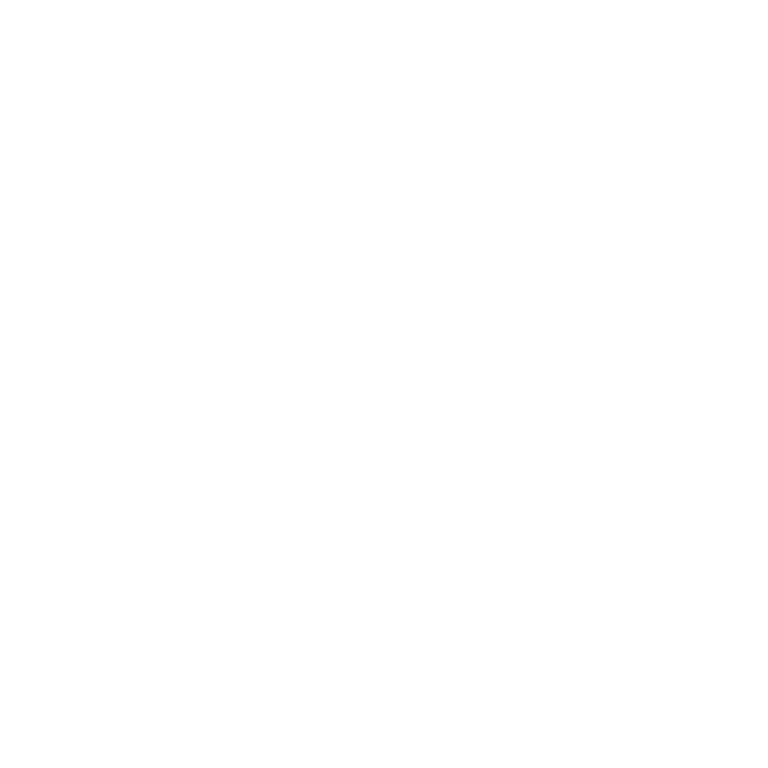 obiective